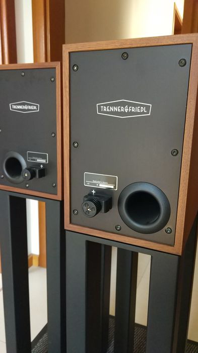 Trenner&Friedl ART3 kolumny głośnikowe, monitory