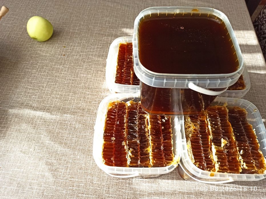 Продам гречаний мед