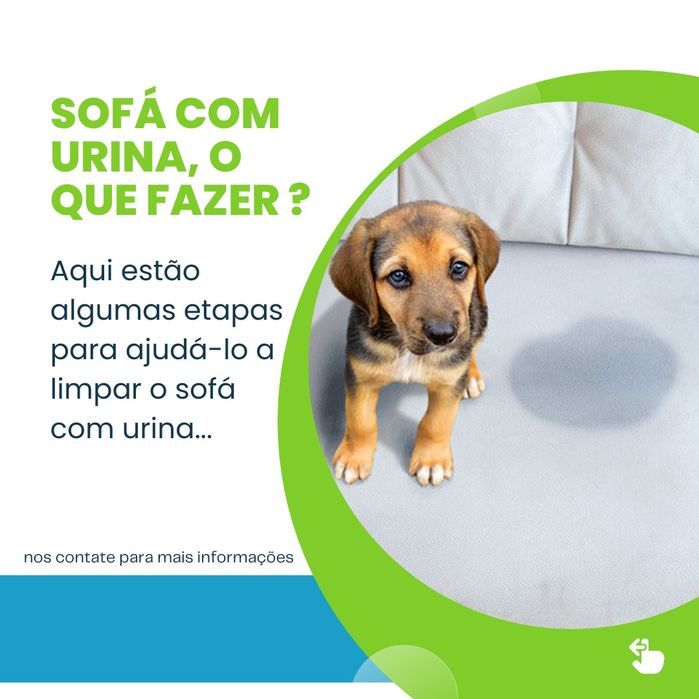 Limpeza Profunda de Sofás, Colchões e Tapetes
