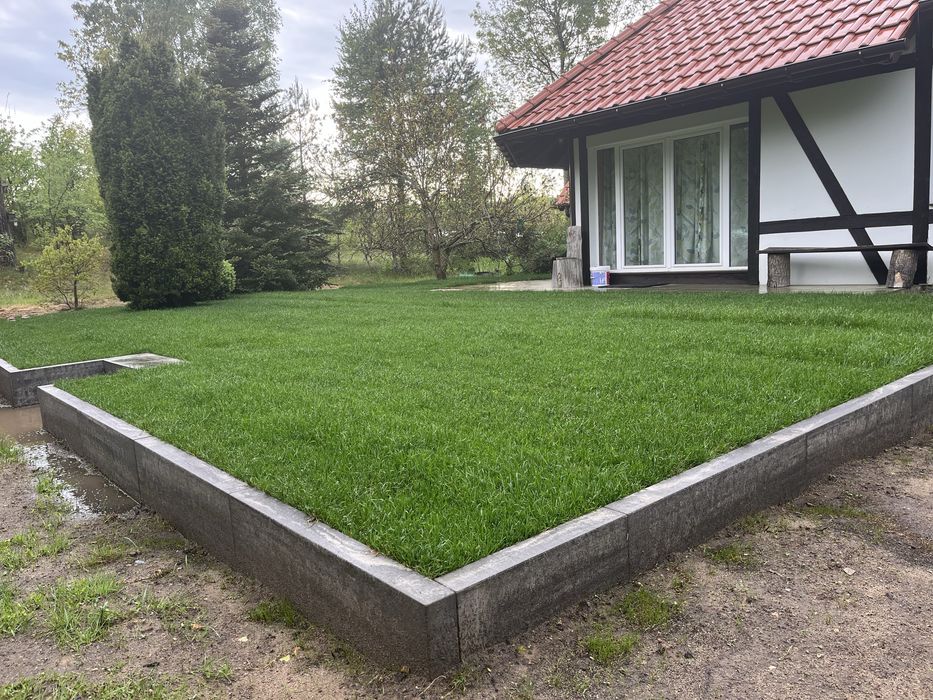 TRAWA Z ROLKI PREMIUM Polski Producent dostawa montaż