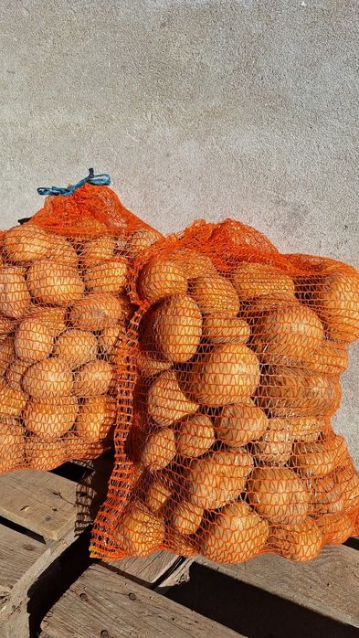 Ziemniaki jadalne żółte