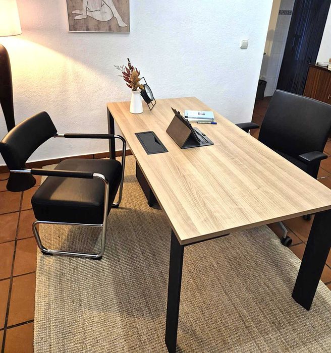 Secretaria / Escritório / Reuniões / Recepção / Móvel / Balcão /Mesa