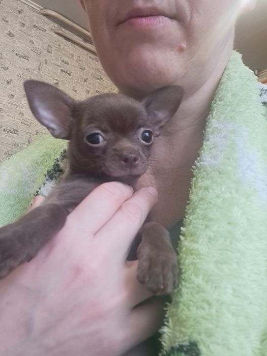 Красивенькая малышка