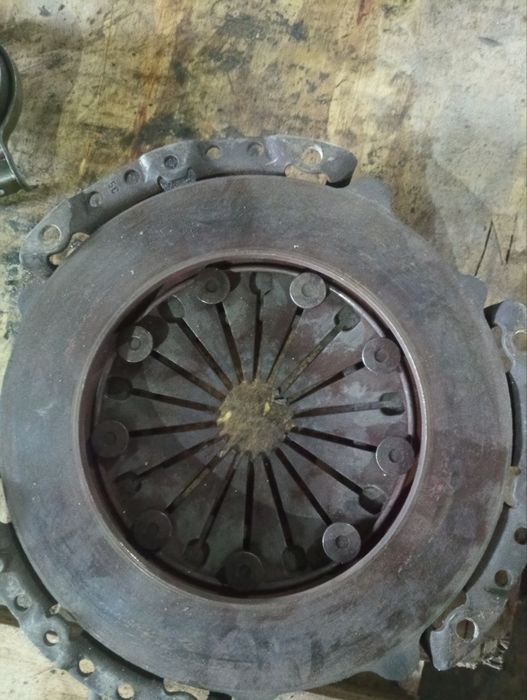 Корзина щеплення 500гр