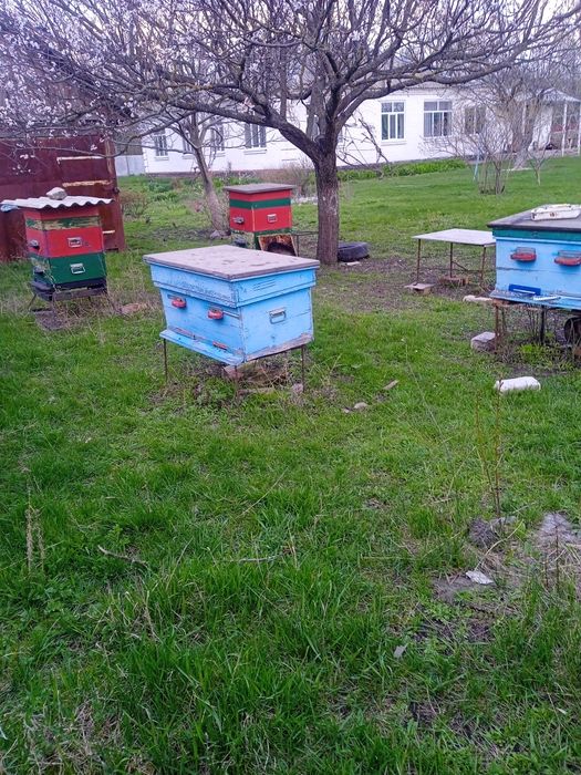 Продам вулики в гарному стані
