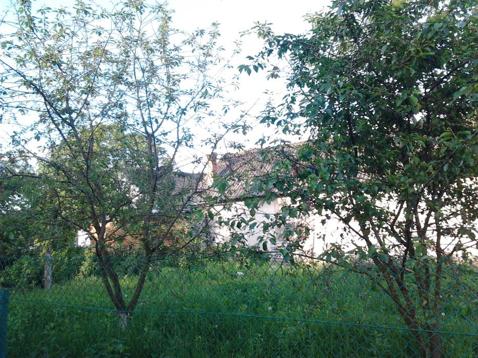 Продається будинок з земельною ділянкою