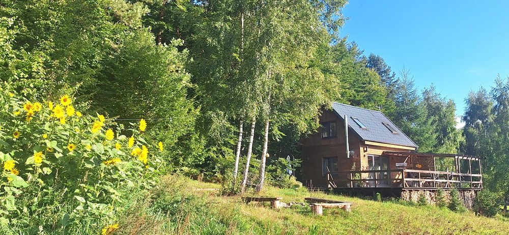 Siedlisko Drzewina - domek na wsi, pod lasem , blisko natury