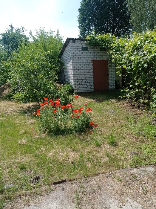 Гарненький будиночок недалеко від міста в селі Піски.