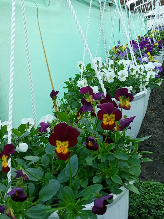 Интерьер для сада