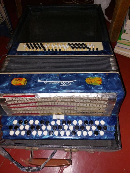 Баян       Полісся