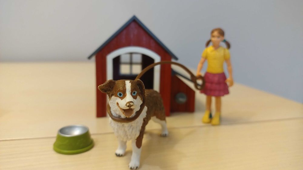 Schleich: Dog Kennel i Spacer z psem rasy Labladar Retriever