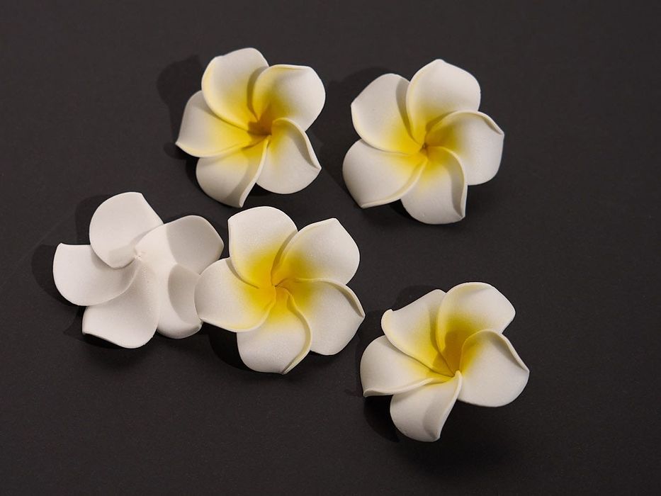 Flores Pluméria (Frangipani) em espuma para decoração