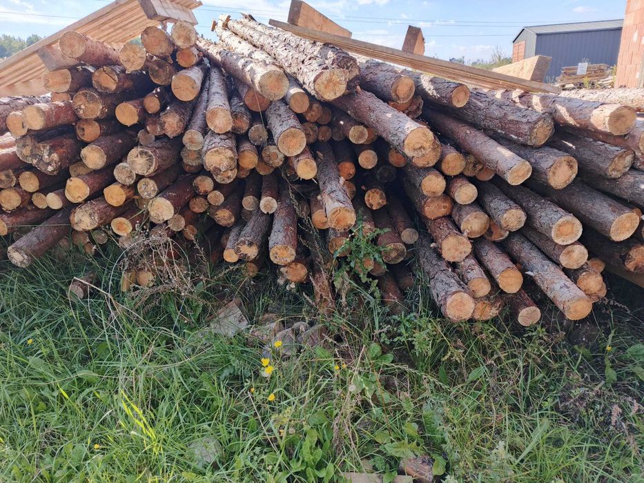 Stemple budowlane drewniane około 450sztukGlogowo !