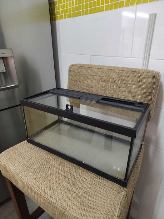 Aquário de Peixes Apenas 13euros