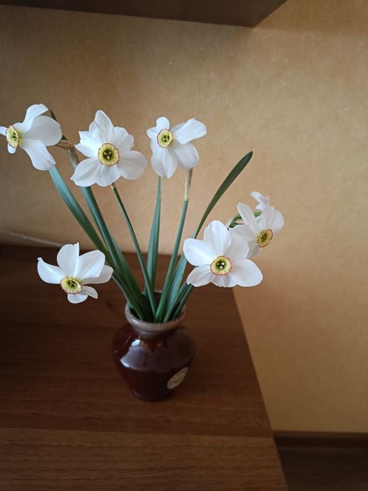 Викопаю ранні нарциси і тюльпани.