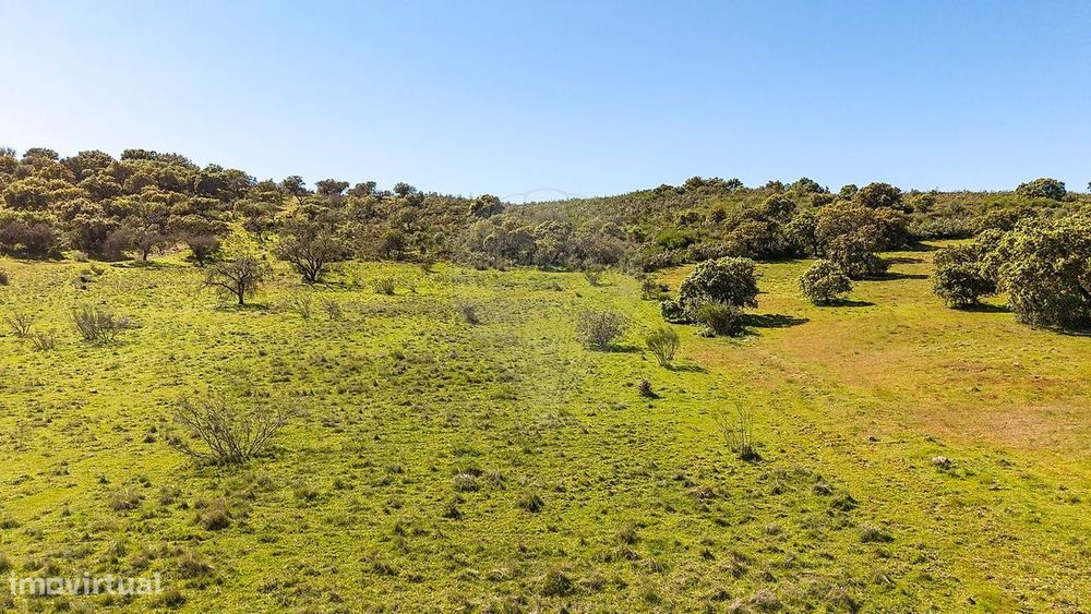 Terreno  para venda