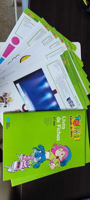 livro fichas TOP 1 ano Estudo do meio - Novo