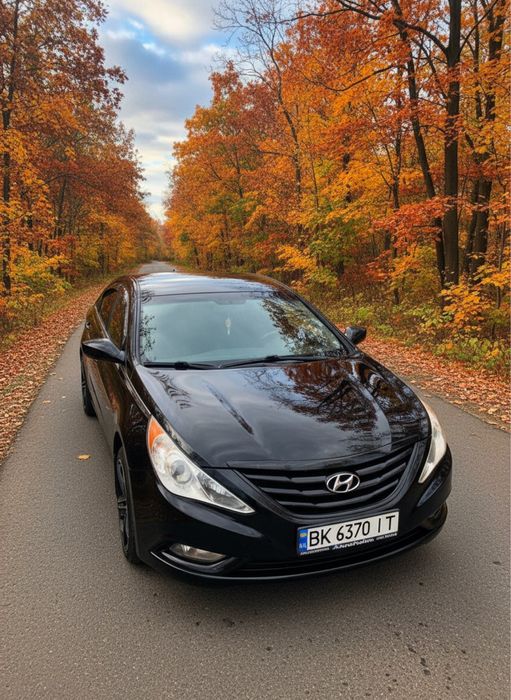 Hyundai Sonata 2010 року