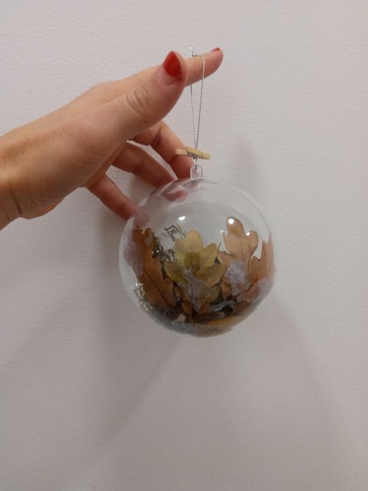 Bombka martwa natura pająk ptasznik brachypelma