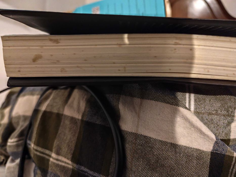 José Luís Peixoto - Abraço (Crónicas)