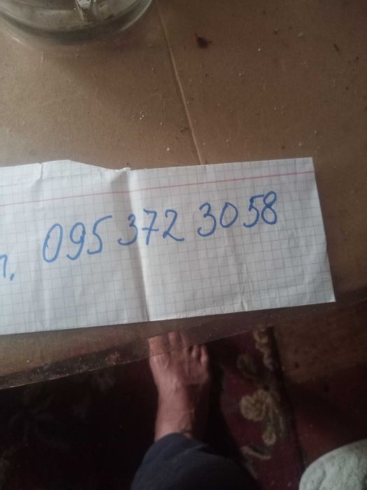 Отдам бесплатно двух щенков (мальчики)