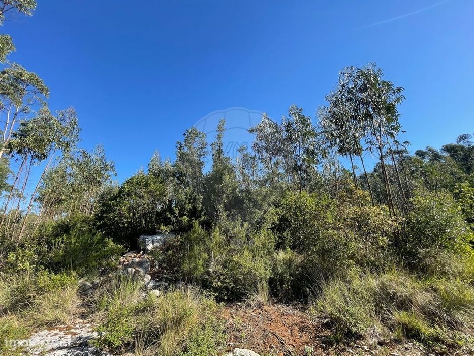 Terreno  para venda — Mira de Aire, Leiria