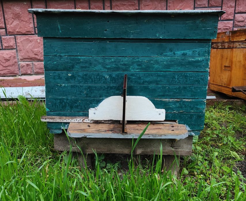 Продається  вулик