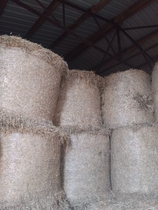 Słoma  bele 120 że stodoły