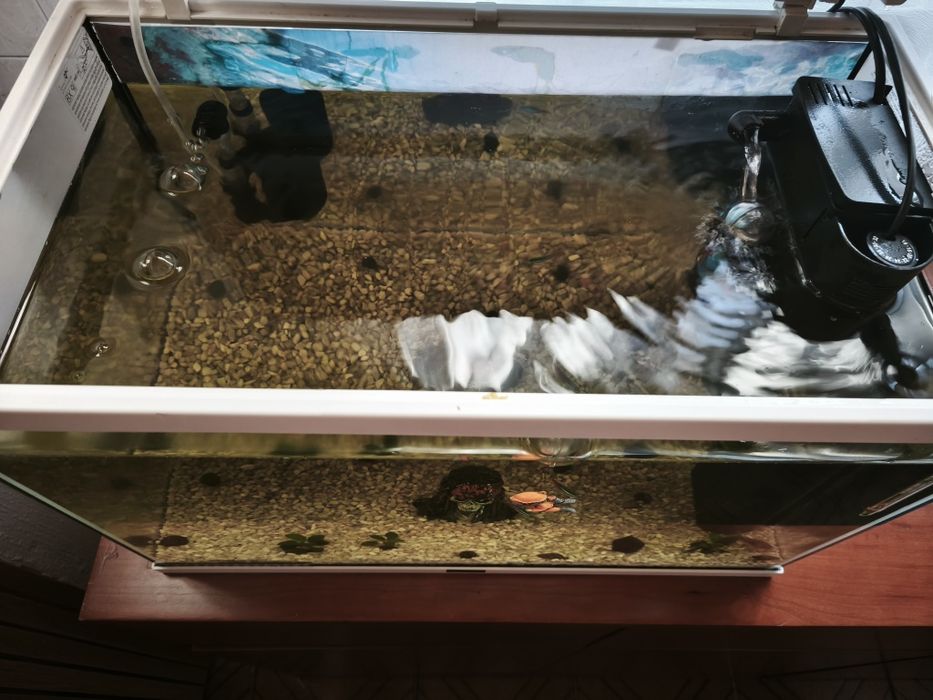 Aquário Aquatlantis