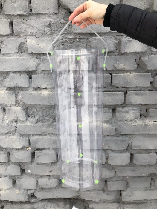 Нобіліс, ель, сосна, ялинка