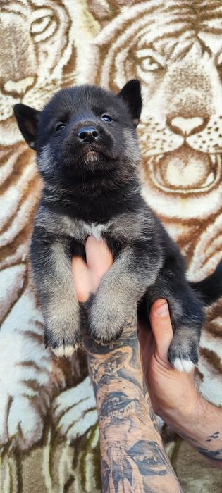 Хлопчик! Він шикарний