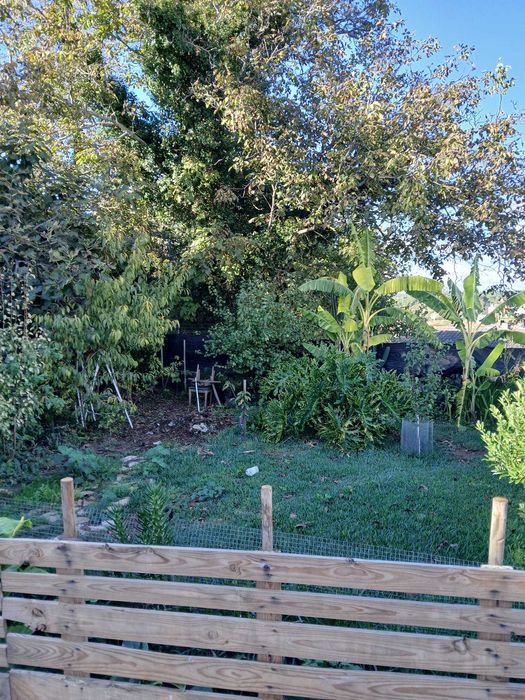 Excelente Moradia  CONDEIXA-A-VELHA - OPORTUNIDADE.