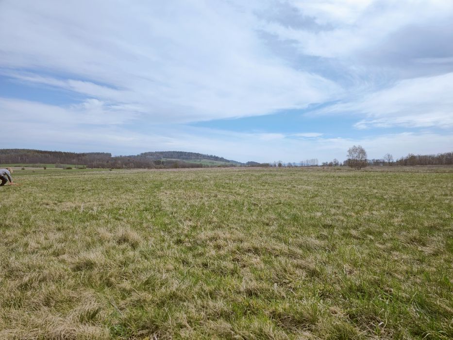 Działka z widokiem na Karkonosze, Izery Góry, 3000 m², Kromnów, asfalt - Widok 5