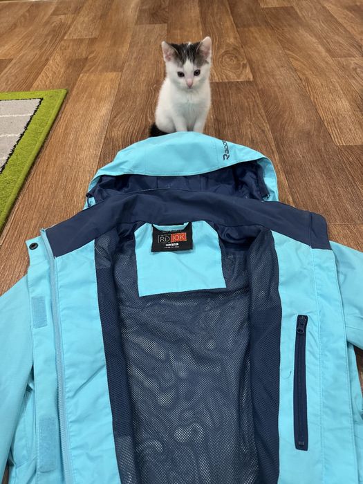 Блакитна вітрівка жіноча Radder
Опис: