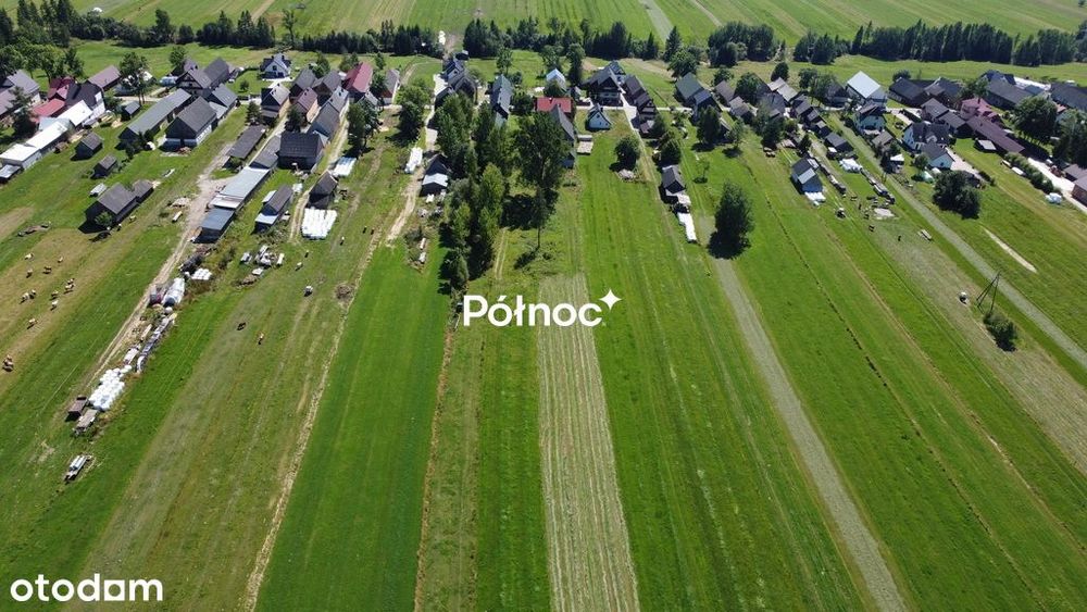 Potężny areał I Chyżne I 2.9ha