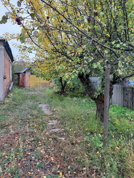 продам дом в пос. Высокий