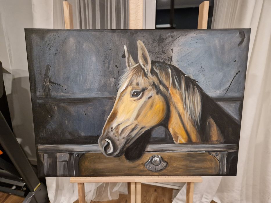 Portret konia w stajni