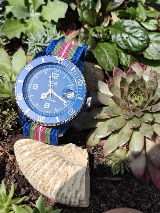Zegarek ice Watch Diver