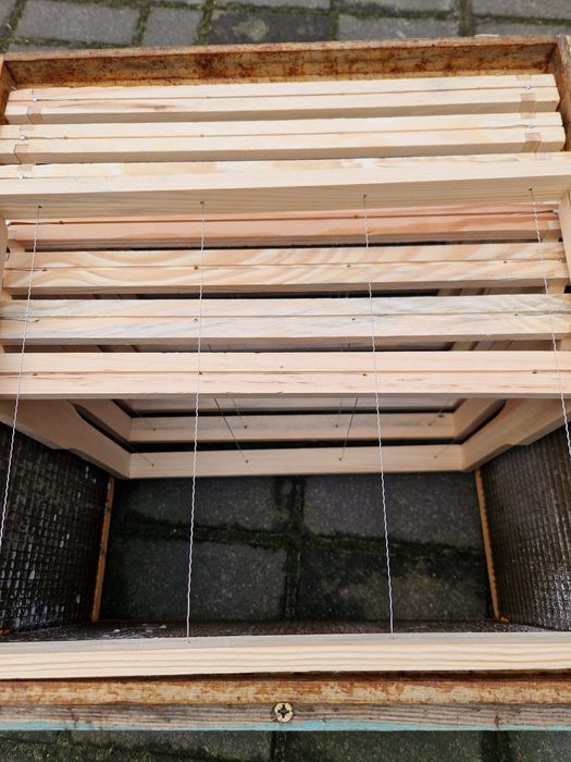 Ramki pszczele wielkopolskie foffmanowskie