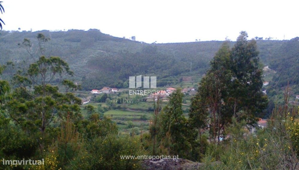 Venda Terreno, Vila Cova, Penafiel