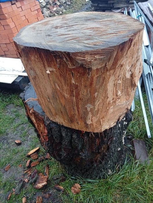 Дубовые колоды, разные размеры.