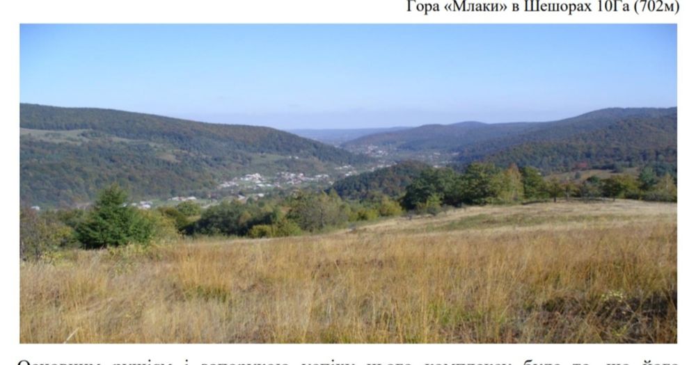 Земля під туристичний комплекс + проектна пропозиція
КОМПЛЕКСУ «ШЕШОР