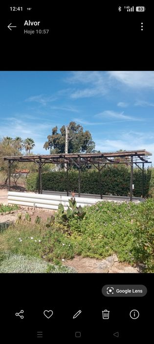 Vendo Telheiro de Madeira com Cobertura Translúcida  8 x 4 m — 32 m².