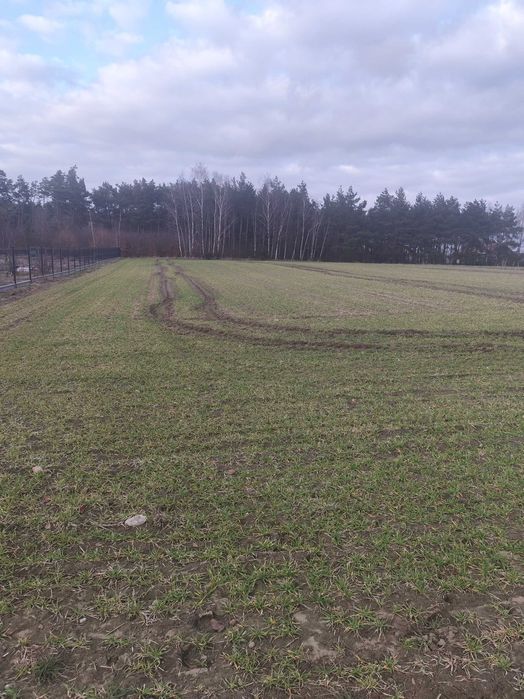 Działka Budowlana Szczutki - Widok 2