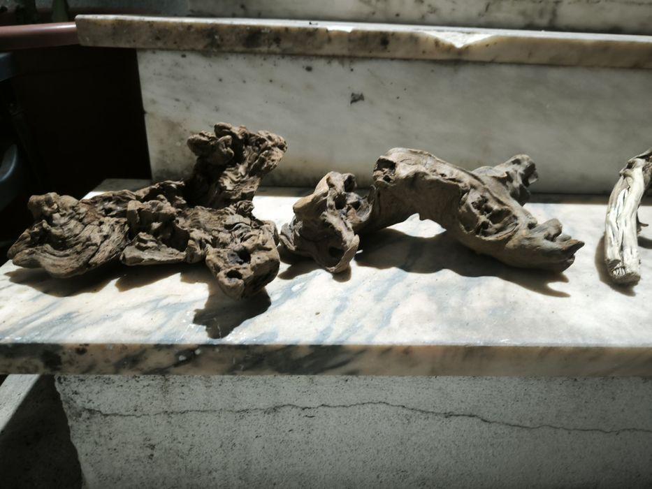 Troncos e rocha vulcânica para aquário e terrário