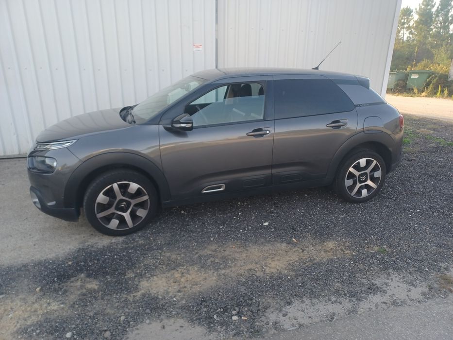 Citroen modelo Catus