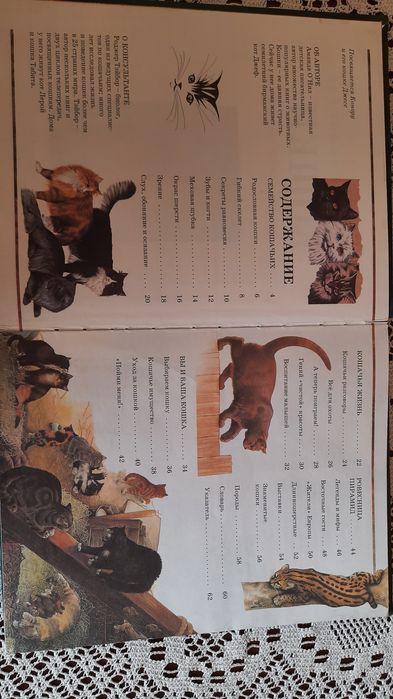 Интнреснейшая книга о кошках.