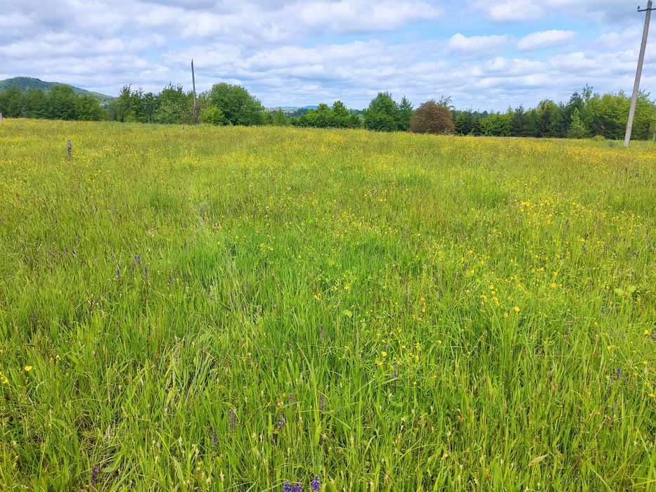 Продам земельну ділянку