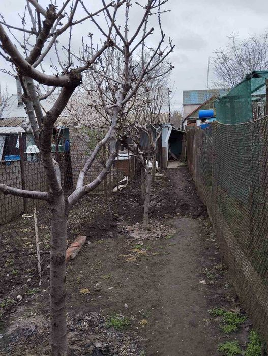 Продам будинок Шуменський