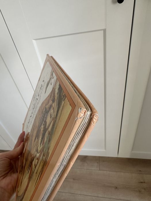 Jak żyły dinozaury książka UNIKAT